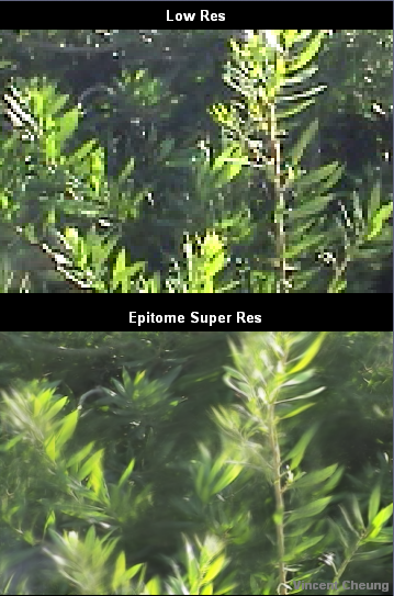 Large Plant Video SuperResolution Result